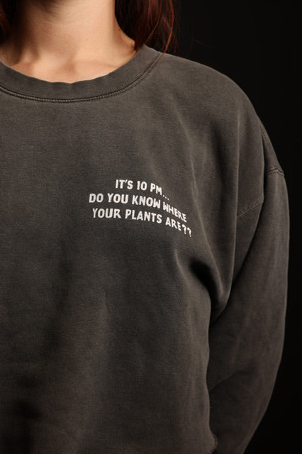 Plant Riot Crewneck in Grey